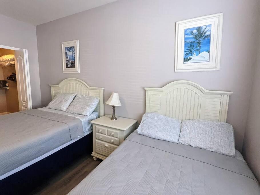 Nice & Cozy - Vacation Home キシミー エクステリア 写真